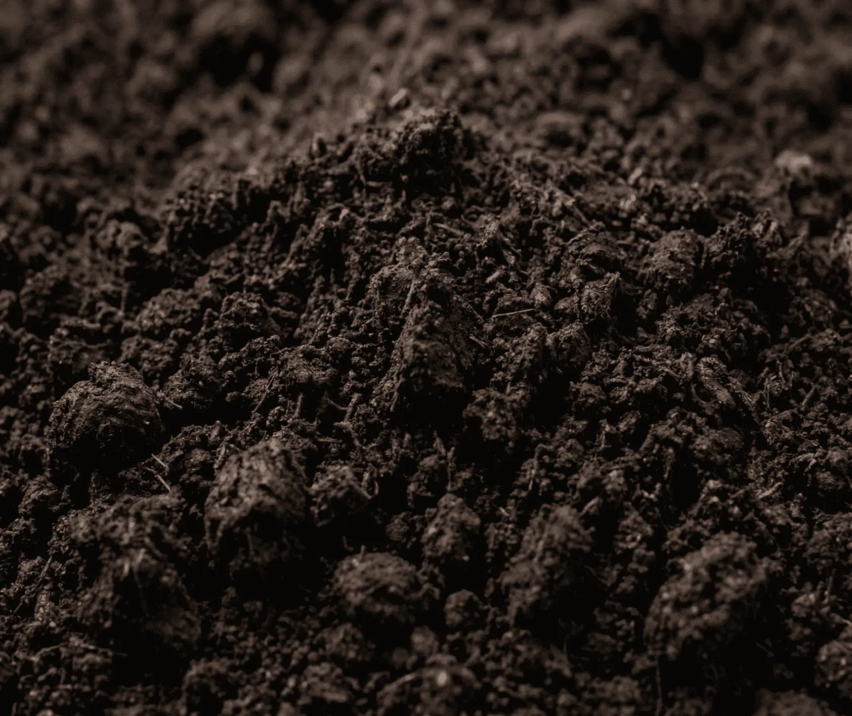 Juodžemio pristatymas aplinkos tvarkymui – Kelių Milžinai